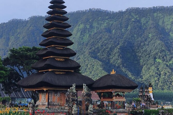 Celukan Bawang private North Bali Nature Tour - Why this North Bali day trip works well from a cruise port