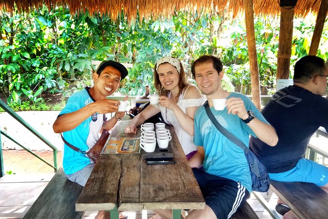 coconut wine and coffee safary tour - Bresela rice fields: seeing coconut wine gathered from a tree