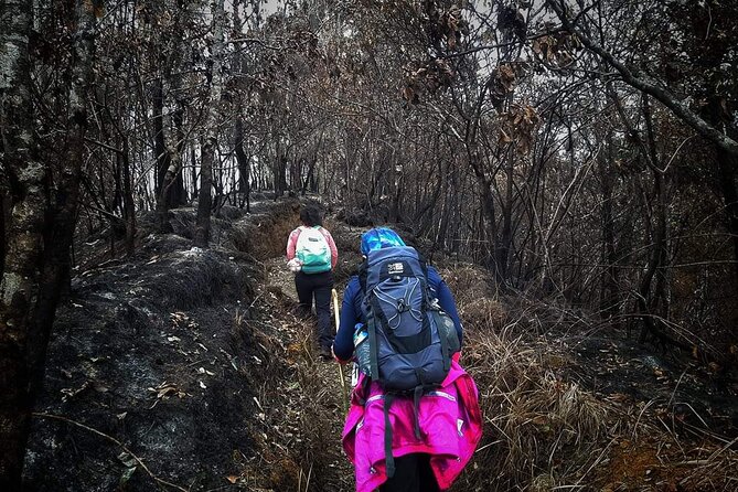 Conquer Mount Rinjani Second Summit: A 2-Day, Lombok-Indonesia - Is $160 a fair price?