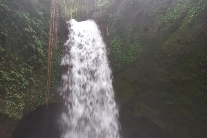 CRETYA Ubud infinity Pool + Hidden Water fall + Water Temple Tour - Who will enjoy this private Bali tour?