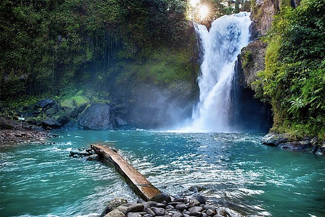 Customizable full-day tour of Bali with private driver - Tirta Gangga, an East Bali water palace
