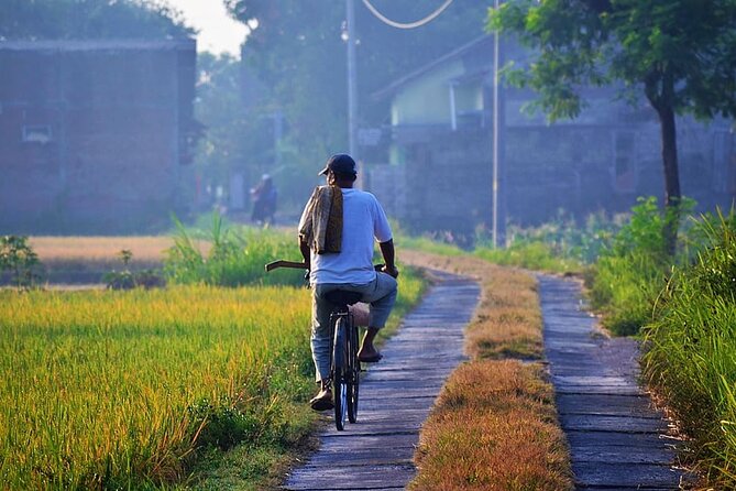 Cycling Tour in Yogyakarta with Lunch 3-Hour - What the $25 price really covers