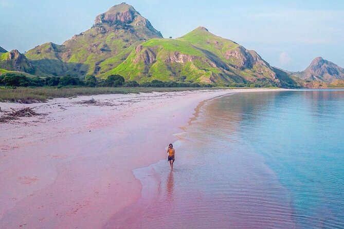 Daily Trip Highlight Komodo Archipelago by Speed Boat - Why this Komodo day trip attracts so much attention