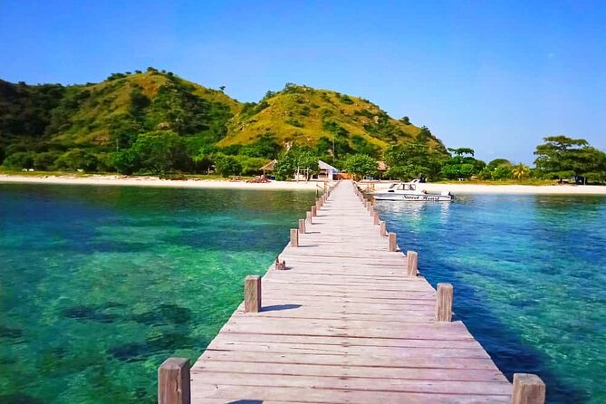 Daily Trip Highlight Komodo Archipelago by Speed Boat - Manta Point and the honest odds of seeing rays