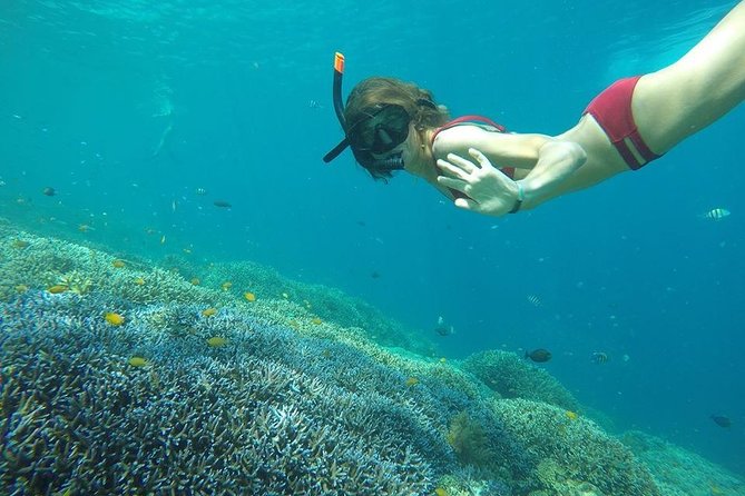Day Trip Gili Trawangan, Gili Meno, Gili Air (Depart Lombok) - Starting from Lombok at 8:00 am