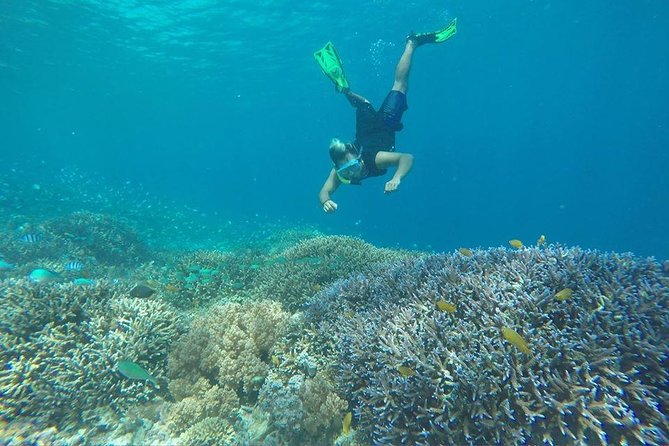 Day Trip Gili Trawangan, Gili Meno, Gili Air (Depart Lombok) - Gili Meno: turtles, calm water, and the statue site
