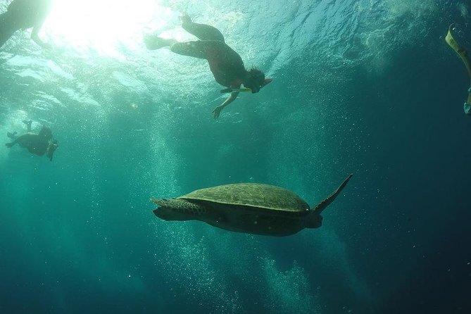 Day Trip Gili Trawangan, Gili Meno, Gili Air (Depart Lombok) - GoPro footage, phones, and what to bring