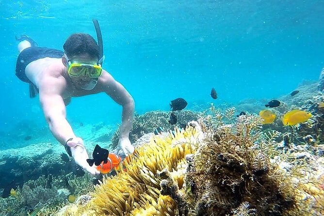Day Trip Secret Island West Of Lombok - Key Points Before You Book