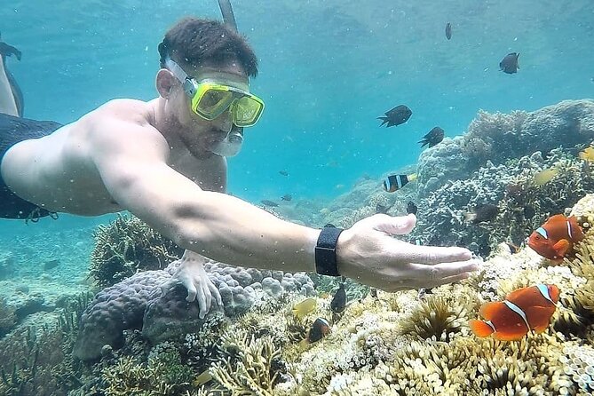 Day Trip Secret Island West Of Lombok - Gili Layar and Its Small, Strange Discoveries