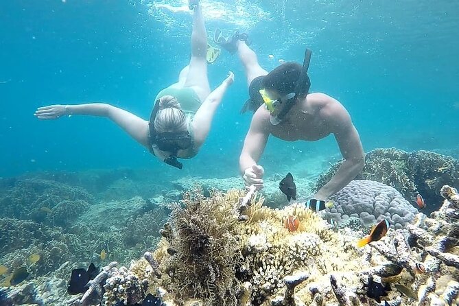 Day Trip Secret Island West Of Lombok - Gili Rengit for Calm Water and Clear Coral