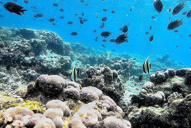 Day Trip Secret Island West Of Lombok - Gili Asahan and the Greenish Water