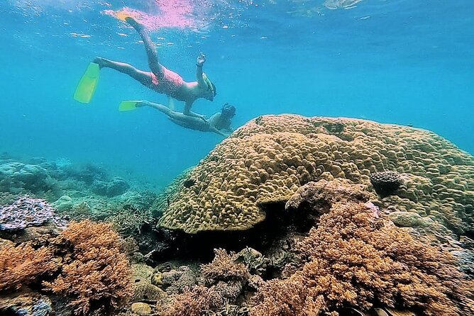 Day Trip Secret Island West Of Lombok - What the $125 Group Price Really Buys