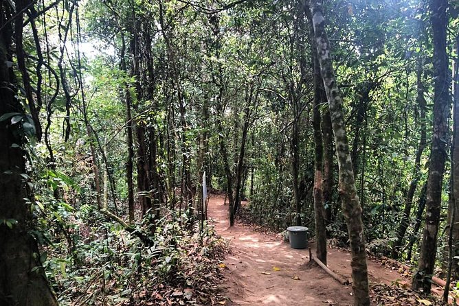 Design Your Own Bali Tour - How this custom Bali day works