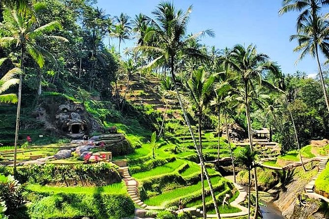 Design Your Own Bali Tour - What the vehicle and inclusions mean