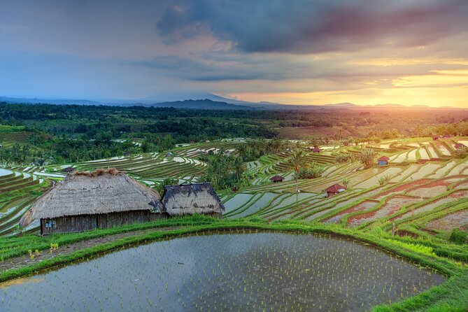 Discover Hidden Waterfall, Unesco Rice Terraces and Mountain Temple - Jatiluwih gives the day its broadest views