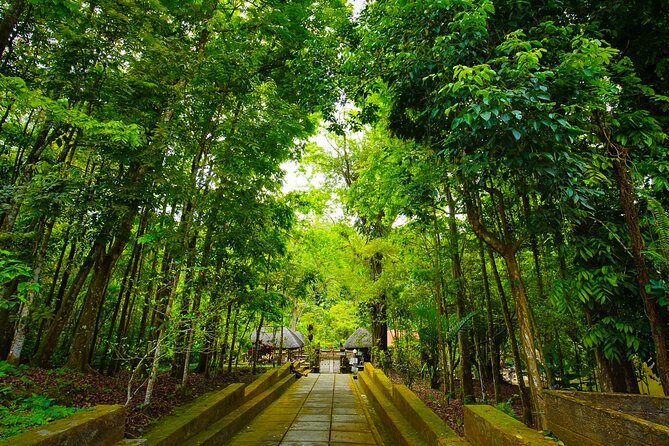 Discover Hidden Waterfall, Unesco Rice Terraces and Mountain Temple - What the $55.59 price really covers