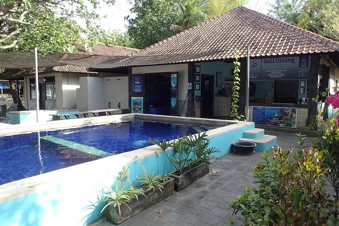 Discover Scuba Diving and dive in Menjangan Island Marine Park 2 dives - Choose when to complete the pool training