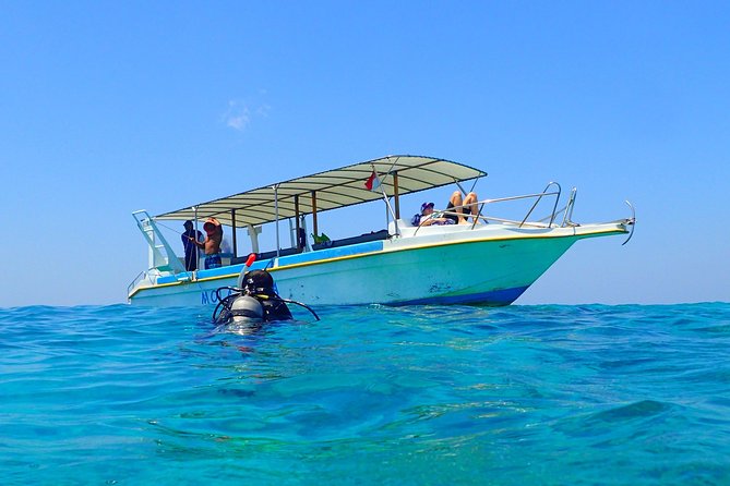 Discover Scuba Diving and dive in Menjangan Island Marine Park 2 dives - The morning begins with calm instruction