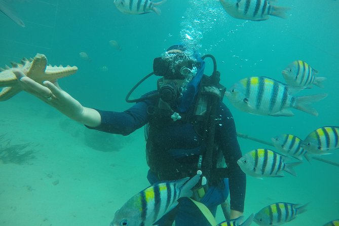 Discover Scuba Diving ( beginners) Combined With Jet Ski - Hotel pickup makes the morning easier