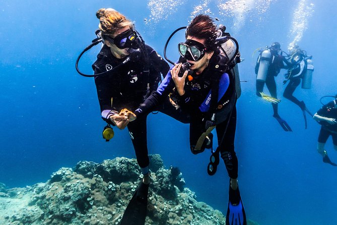 Discover Scuba Diving in Pemuteran - Diving Initiation in Bali (Menjangan Park) - Why Menjangan Park works for beginners