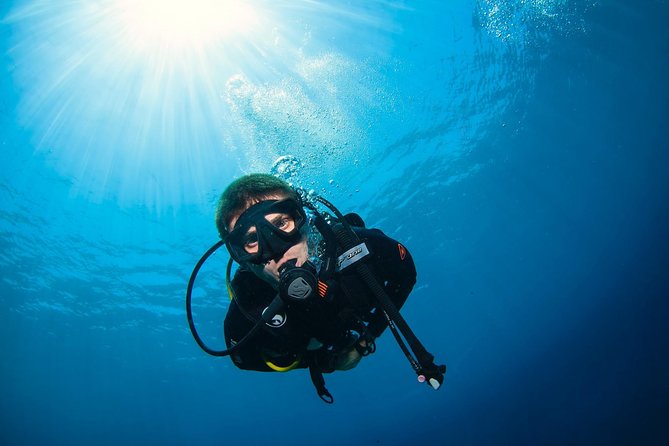 Discover Scuba Diving in Pemuteran - Diving Initiation in Bali (Menjangan Park) - The second session and what you learn
