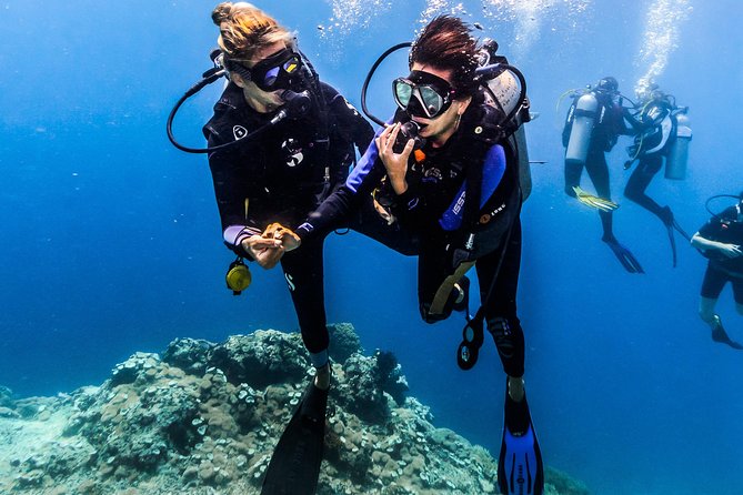 Discover Scuba Diving in Tulamben - Diving Initiation in Bali best diving sites - Coral Garden: your first real underwater setting