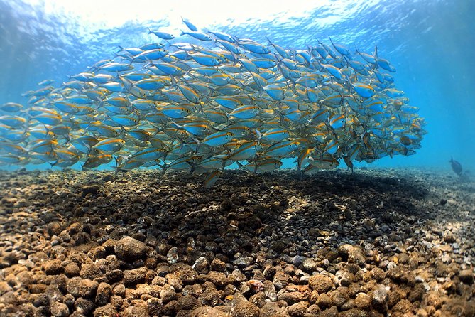 Discover Scuba Diving Tulamben Bali For Non-Certified Divers - Why Tulamben works so well for first-time scuba