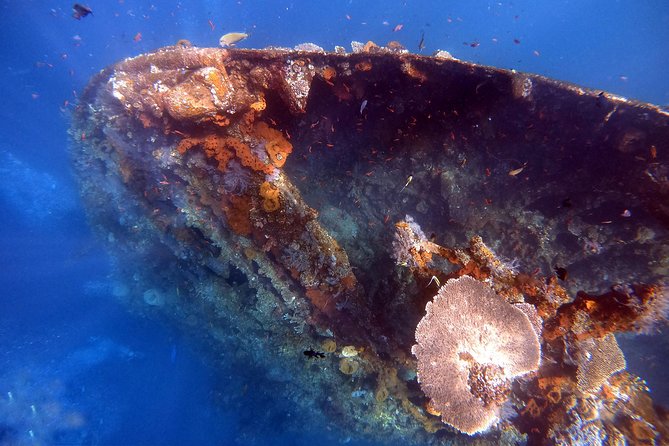 Discover Scuba Diving - A calm start with tea, coffee, and clear rules