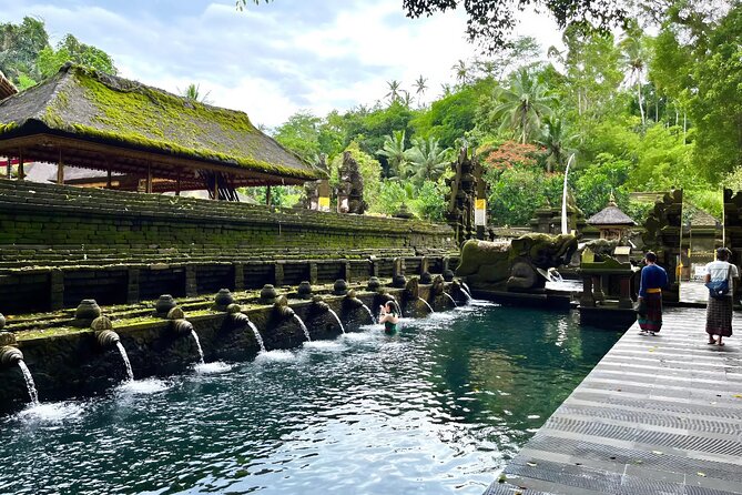 Discover The Best of Ubud: All-Inclusive and Private Guided Tour - Tegalalang Rice Terrace: Bali’s famous green view