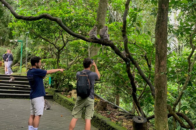 Discover The Best of Ubud: All-Inclusive and Private Guided Tour - What the driver-guide adds