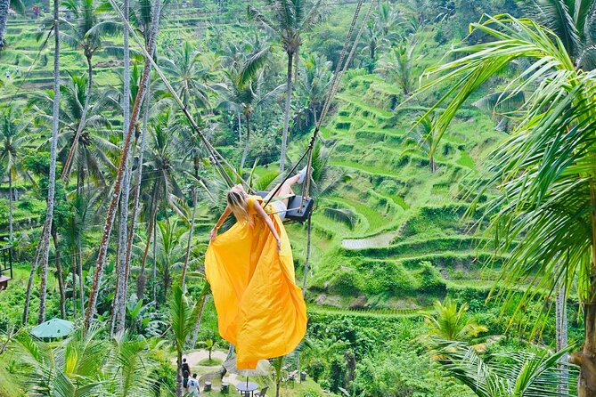 Discover The Best of Ubud: All-Inclusive and Private Guided Tour - Monkey Forest: an energetic opening hour