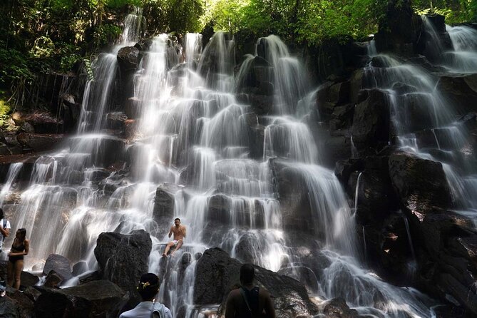Discover the best waterfalls in Ubud and rice terraces tour - Sacred Monkey Forest: the liveliest final stop