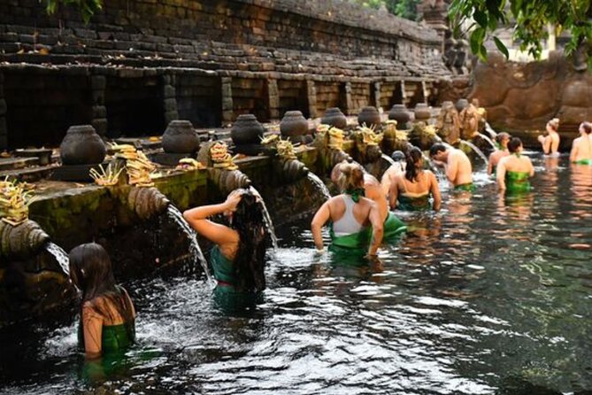 Discover Ubud: Exotism Ubud and Optional Meet the Bali Shaman - Transport, comfort, and the real meaning of private