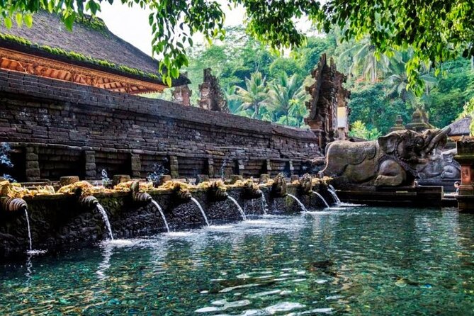 Discover Ubud: Exotism Ubud and Optional Meet the Bali Shaman - Price, extra costs, and overall value