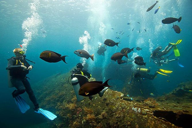 Dive at Tulamben Bali USS Liberty Ship Wreck - What the underwater scenery is really like