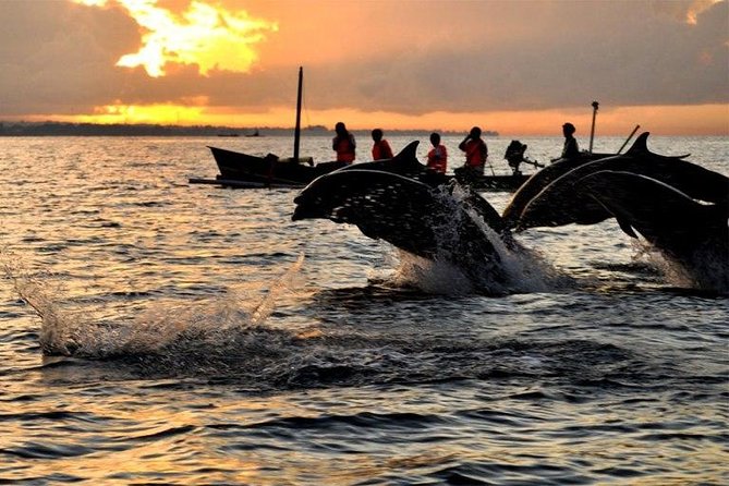 Dolphin Tour and Sunrise Watching in Lovina Beach - All Inclusive - Why this north Bali morning is worth the alarm
