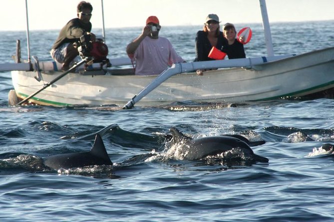 Dolphin Tour and Sunrise Watching in Lovina Beach - All Inclusive - Searching for spinner dolphins at sunrise