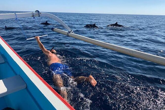 Dolphin Watching Tour, Swimming with Dolphins and Snorkeling - Coral, fish, and underwater statues