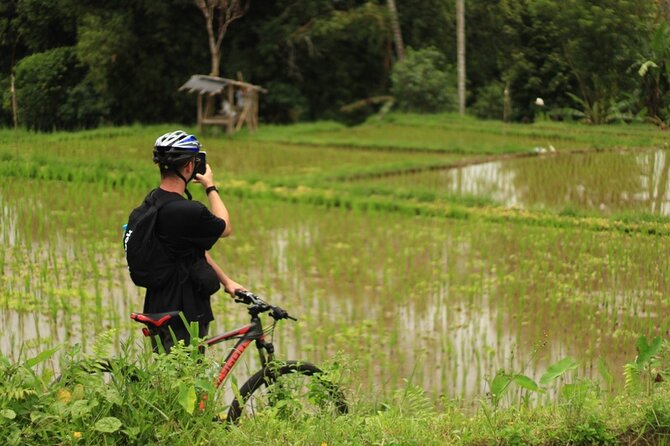 Downhill Cycling Ubud with Volcano, Rice Terrace and Educational - Finishing with nasi campur and a local welcome