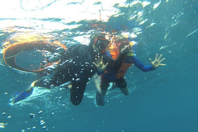 Early Bird Speedboat Group Tour : Explore Komodo Ahead of Crowds - Manta Point depends on nature