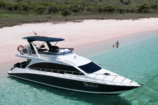 Early Morning Private Komodo Speedboat Tour - Pink Beach, with time for a slower stop