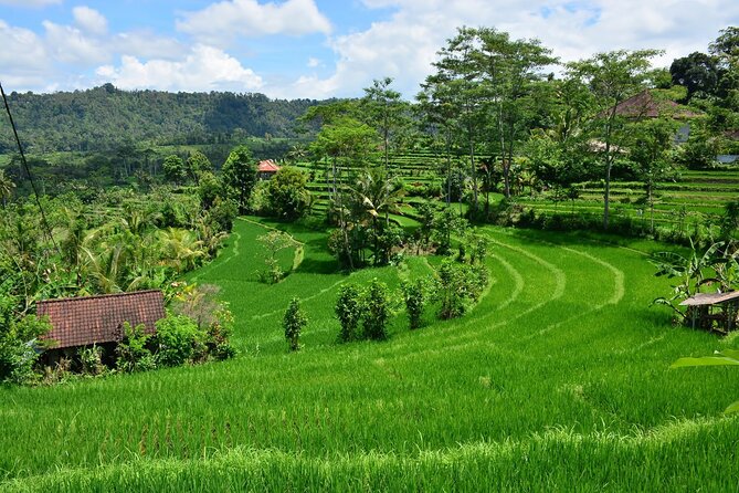 East Bali Tour: Gate of Heaven, Water Palace, Sleeping Gajah - The private guide makes the long route easier