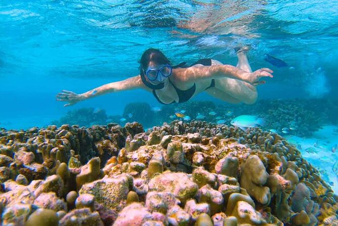 East Lombok Secred Gilis (Gili Kondo, Gili Bidara, Gili Petagan, Gili kapal) - Who should book this East Lombok excursion?