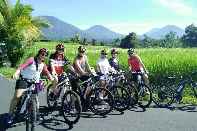 Electric bicycle tour in Jatiluwih UNESCO site - Quiet roads, bamboo, and jungle scenery