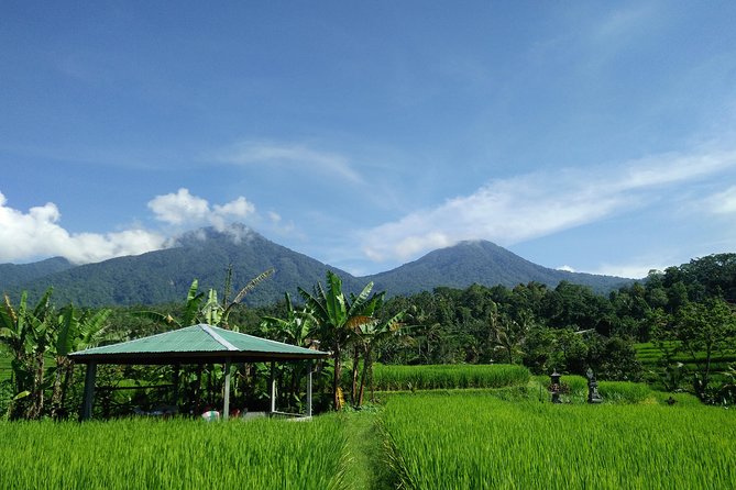 Electric bicycle tour in Jatiluwih UNESCO site - Seeing the Jatiluwih rice terraces up close