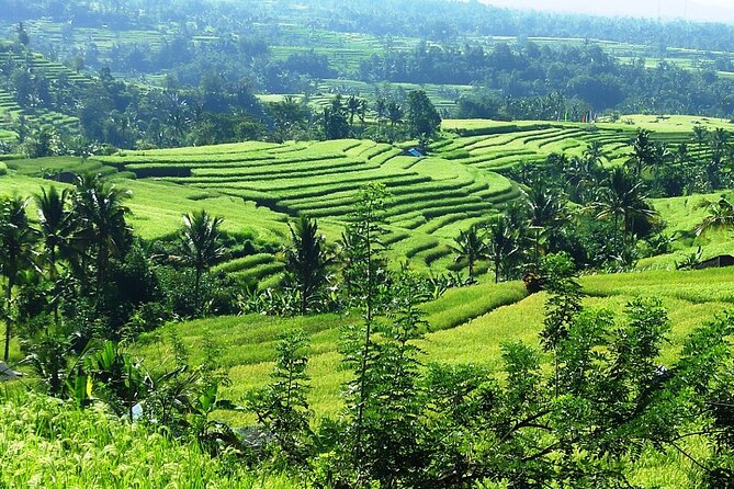 Electric bicycle tour in Jatiluwih UNESCO site - Pickup, group size, and what the $75 covers