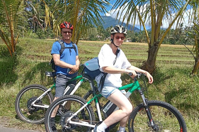 Electric bicycle tour in Jatiluwih UNESCO site - What the strongest praise gets right