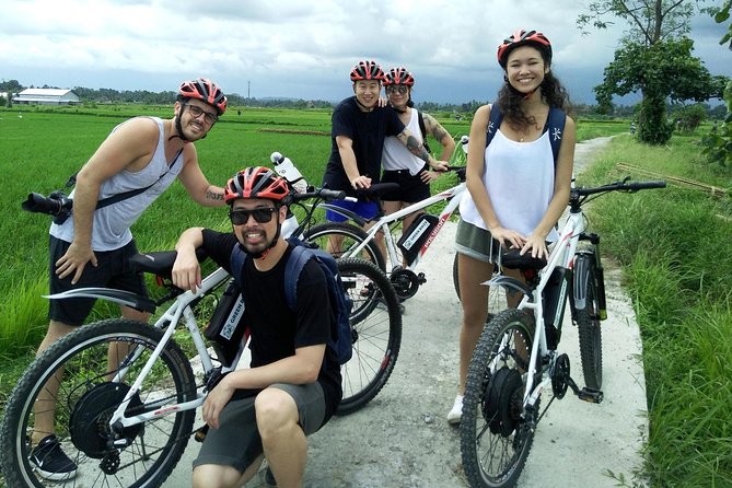 Electric bicycle tour in Jatiluwih UNESCO site - Who should book this e-bike tour