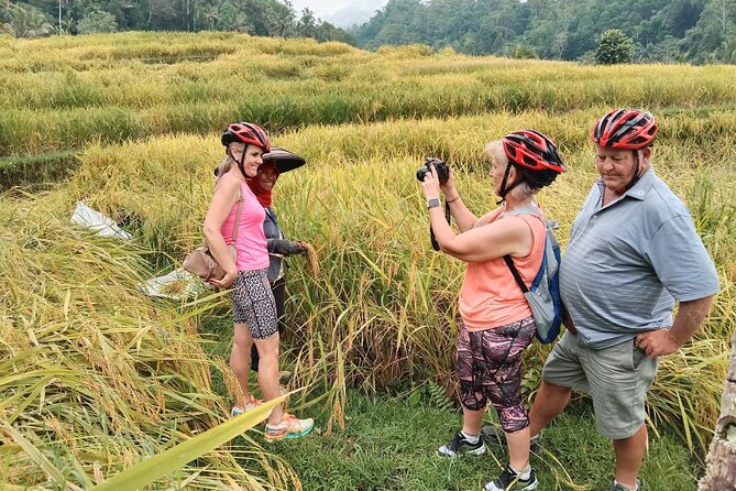 Electric bicycle tour in Jatiluwih UNESCO site - Getting started at Batukaru Temple