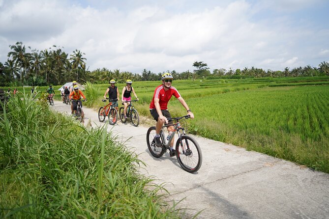 Electric Bike and Swing Package - Five details worth knowing before you book